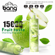 Bang SHISHA 15000 Puffs 23ml Einweg-E-Zigarette Original – Bild 2