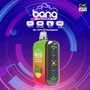 Bang Rocket 18000 18K Puffs 20ml Einweg-E-Zigarette Original