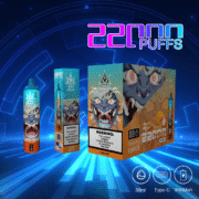 Bang Beach 22000 22K Puffs 36ml Einweg-E-Zigarette Original – Bild 3