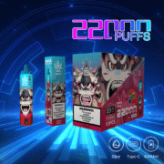 Bang Beach 22000 22K Puffs 36ml Einweg-E-Zigarette Original – Bild 2