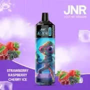JNR Alien 10000 10K Puffs 20ml Einweg-E-Zigarette RGB Original – Bild 7