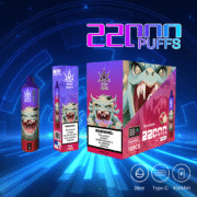 Bang Beach 22000 22K Puffs 36ml Einweg-E-Zigarette Original – Bild 12