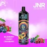 JNR Alien 10000 10K Puffs 20ml Einweg-E-Zigarette RGB Original – Bild 5