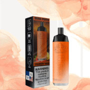 Bang Crown Bar 18000 Puffs Leather 20ml Einweg-E-Zigarette Original – Bild 10