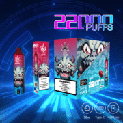 Bang Beach 22000 22K Puffs 36ml Einweg-E-Zigarette Original – Bild 11