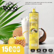 Bang SHISHA 15000 Puffs 23ml Einweg-E-Zigarette Original – Bild 6