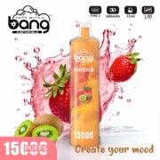 Bang SHISHA 15000 Puffs 23ml Einweg-E-Zigarette Original – Bild 7