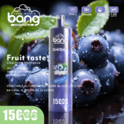 Bang SHISHA 15000 Puffs 23ml Einweg-E-Zigarette Original – Bild 5
