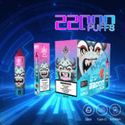 Bang Beach 22000 22K Puffs 36ml Einweg-E-Zigarette Original – Bild 5