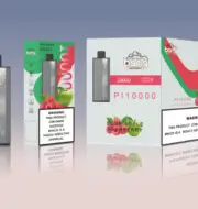 Bang PI10000 10K Puffs Einweg-E-Zigarette Original – Bild 5