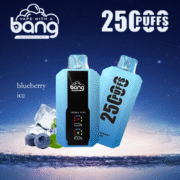 Bang 25000 25k Puffs 30ml Einweg-E-Zigarette Original – Bild 8
