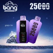 Bang 25000 25k Puffs 30ml Einweg-E-Zigarette Original – Bild 9