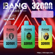 Bang Leader 32000 32K Puffs Dual Flavor Einweg-E-Zigarette Dual Mesh Original