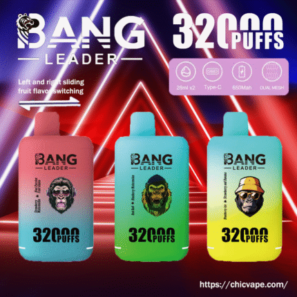 Bang Leader 32000 32K Puffs Dual Flavor Einweg-E-Zigarette Dual Mesh Original