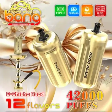 Bang Blaze 42000 42K Puffs Shisha Head 30ml Einweg-E-Zigarette Original