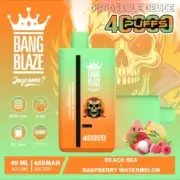 Bang Blaze 40000 40K Puffs Dual Flavors 40ml Einweg-E-Zigarette Original – Bild 12