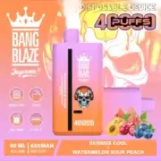 Bang Blaze 40000 40K Puffs Dual Flavors 40ml Einweg-E-Zigarette Original – Bild 11