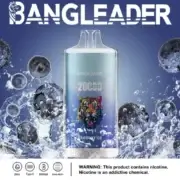 Bang Leader 20000 20K Puffs Einweg-E-Zigarette Original – Bild 13