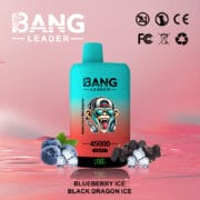 Bang Leader 45000 45K Puffs Dual Flavor 60ml Einweg-E-Zigarette Original – Bild 13