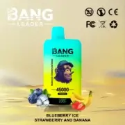 Bang Leader 45000 45K Puffs Dual Flavor 60ml Einweg-E-Zigarette Original – Bild 12