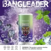 Bang Leader 20000 20K Puffs Einweg-E-Zigarette Original – Bild 12