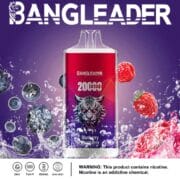 Bang Leader 20000 20K Puffs Einweg-E-Zigarette Original – Bild 11
