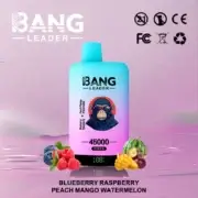 Bang Leader 45000 45K Puffs Dual Flavor 60ml Einweg-E-Zigarette Original – Bild 11
