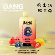 Bang Leader 45000 45K Puffs Dual Flavor 60ml Einweg-E-Zigarette Original – Bild 10