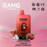 Bang Leader 45000 45K Puffs Dual Flavor 60ml Einweg-E-Zigarette Original – Bild 9