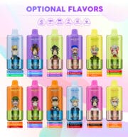 Waspe 60000 60K Puffs 54ml Einweg-E-Zigaretten Original – Bild 2