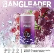 Bang Leader 20000 20K Puffs Einweg-E-Zigarette Original – Bild 10