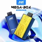JNR Mega Box 25000 25K Puffs 30ml Einweg-E-Zigaretten Dual Mesh Coil Original