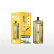 Bang Blaze 42000 42K Puffs Shisha Head 30ml Einweg-E-Zigarette Original – Bild 7