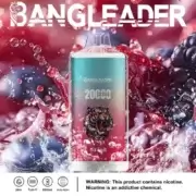 Bang Leader 20000 20K Puffs Einweg-E-Zigarette Original – Bild 8