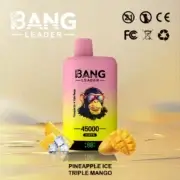 Bang Leader 45000 45K Puffs Dual Flavor 60ml Einweg-E-Zigarette Original – Bild 8