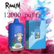 RandM Digital Box 12000 12K Puffs Einweg-E-Zigaretten Original – Bild 2