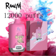 RandM Digital Box 12000 12K Puffs Einweg-E-Zigaretten Original – Bild 12