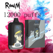 RandM Digital Box 12000 12K Puffs Einweg-E-Zigaretten Original – Bild 11