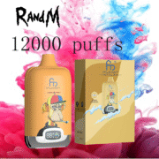 RandM Digital Box 12000 12K Puffs Einweg-E-Zigaretten Original – Bild 10