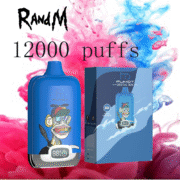 RandM Digital Box 12000 12K Puffs Einweg-E-Zigaretten Original – Bild 9