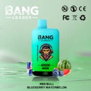 Bang Leader 45000 45K Puffs Dual Flavor 60ml Einweg-E-Zigarette Original – Bild 7