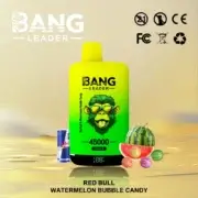 Bang Leader 45000 45K Puffs Dual Flavor 60ml Einweg-E-Zigarette Original – Bild 6