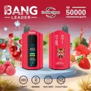 Bang Leader 50K Puffs Dual Flavors 36ml Einweg-E-Zigarette Original – Bild 3