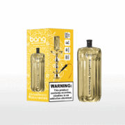 Bang Blaze 42000 42K Puffs Shisha Head 30ml Einweg-E-Zigarette Original – Bild 3