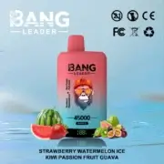 Bang Leader 45000 45K Puffs Dual Flavor 60ml Einweg-E-Zigarette Original – Bild 3
