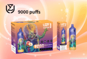 UZY Vaper 9000 9K Puffs 18ml Einweg-E-Zigaretten Original – Bild 6