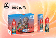UZY Vaper 9000 9K Puffs 18ml Einweg-E-Zigaretten Original – Bild 14