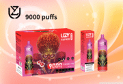 UZY Vaper 9000 9K Puffs 18ml Einweg-E-Zigaretten Original – Bild 12