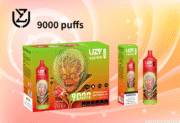 UZY Vaper 9000 9K Puffs 18ml Einweg-E-Zigaretten Original – Bild 11