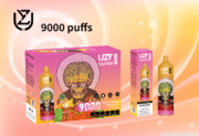 UZY Vaper 9000 9K Puffs 18ml Einweg-E-Zigaretten Original – Bild 9